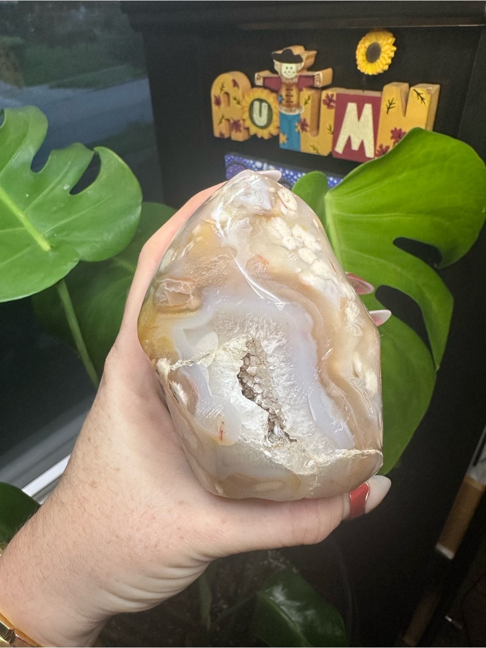 Polished Flower Agate Flame - Natural Cream & Brown